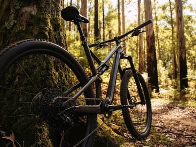 A mountain bike rests against a moss-covered tree trunk beside a forest trail.