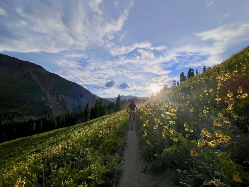 Kaycie Robinson riding a mountain bike on a narrow trail through wildflowers, mountains and golden sunset light in the background