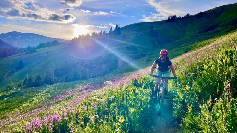 Kaycie Robinson descending a flower-filled alpine trail on a mountain bike at sunset, green hills and glowing sky behind her