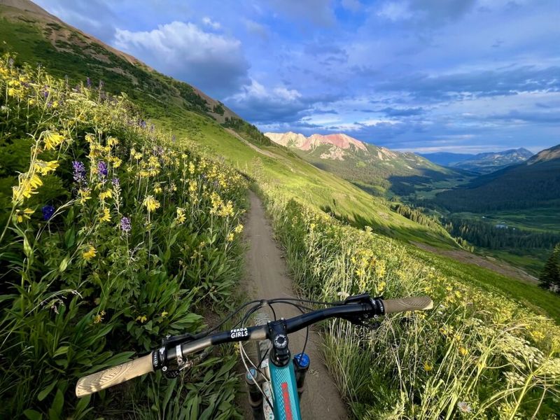 Mountain bike handlebars on a singletrack trail lined with yellow and purple wildflowers, red peaks and green valley in the distance