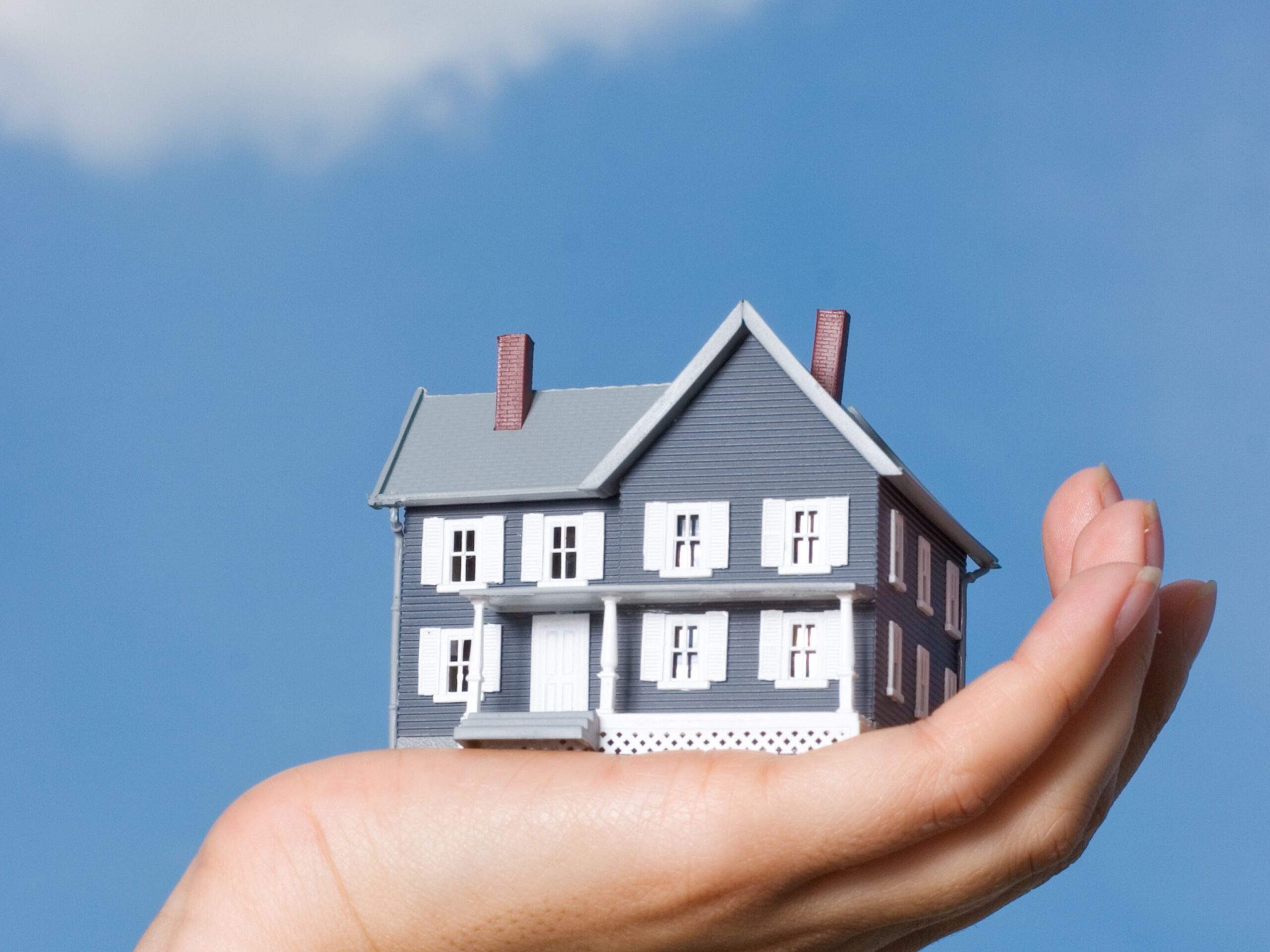 The Story of Bluetail Real Estate